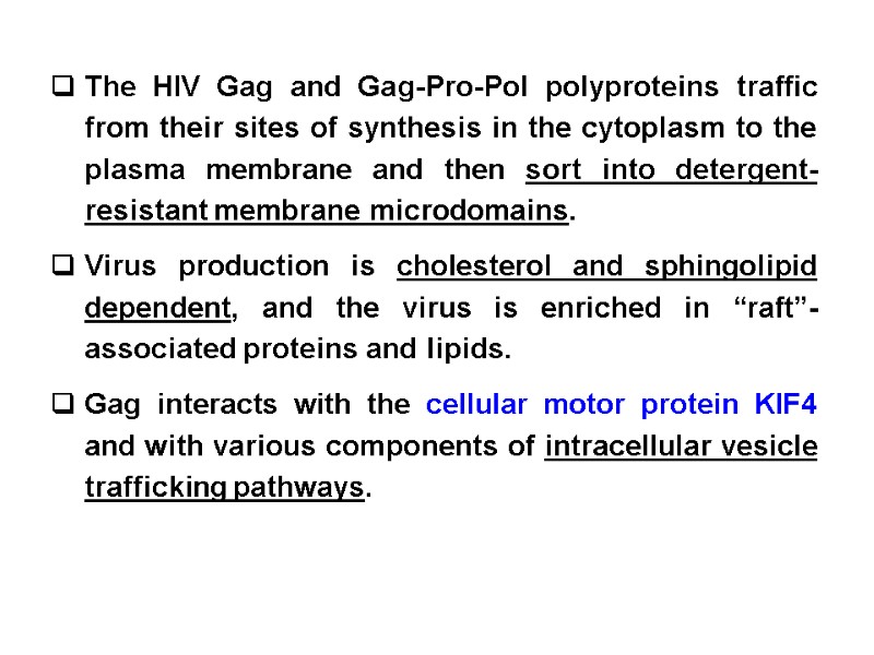 The HIV Gag and Gag-Pro-Pol polyproteins traffic from their sites of synthesis in the